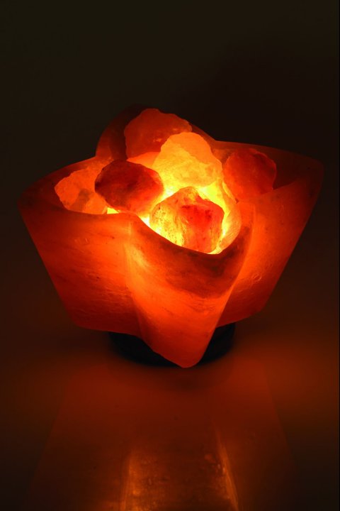 Salt Lamp Flower Bowl 3Kg