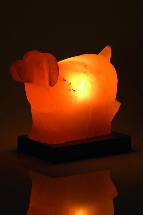 Dog Salt Lamp 2-3Kg