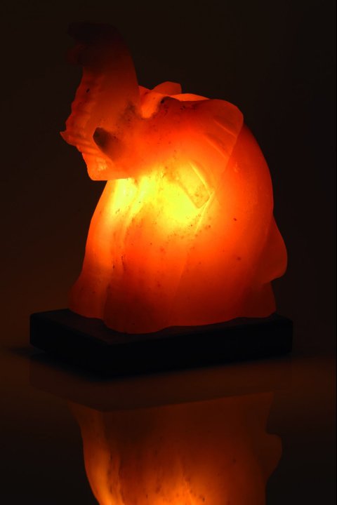 Elephant Salt Lamp 3kg