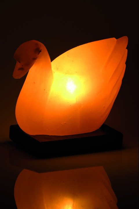Duck Salt Lamp 2-3 kg