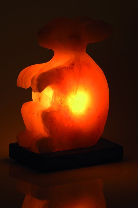 Rabbit Salt Lamp 2-3 kg