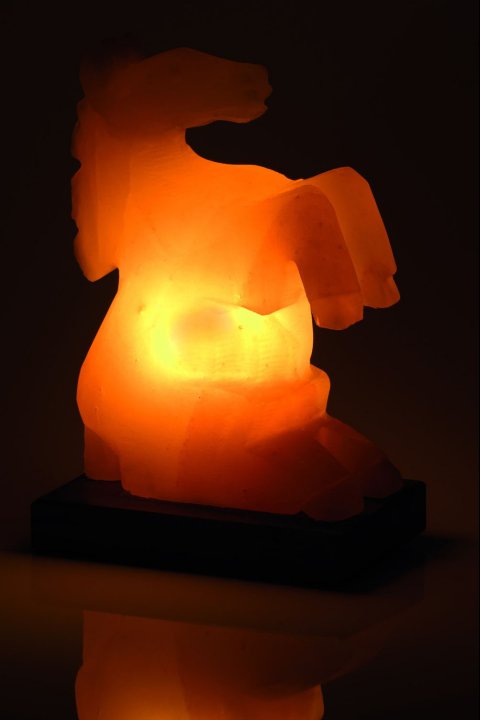 Salt Lamp Prancing Horse 2-3 Kg