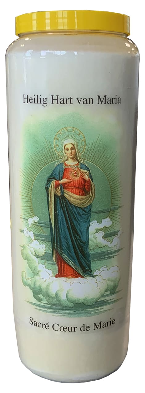 Novenas Sacred Heart of Mary with prayer