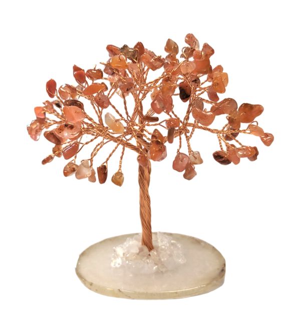 Tree of Life Red Agate on Agate 12-13cm