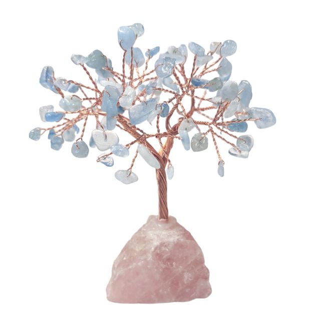 Tree of Life Aquamarine on Druse Rose Quartz 12-13cm