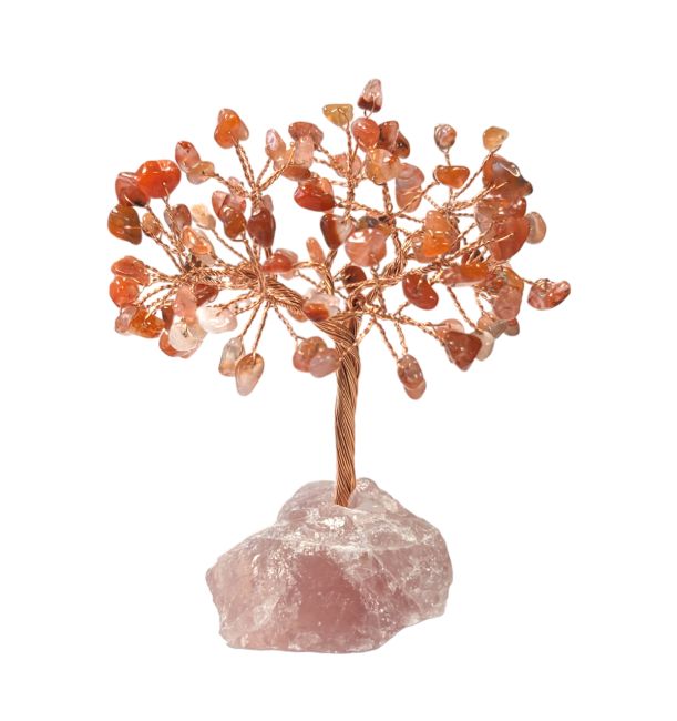 Tree of Life Red Agate on Rose Quartz Druse 12-13cm