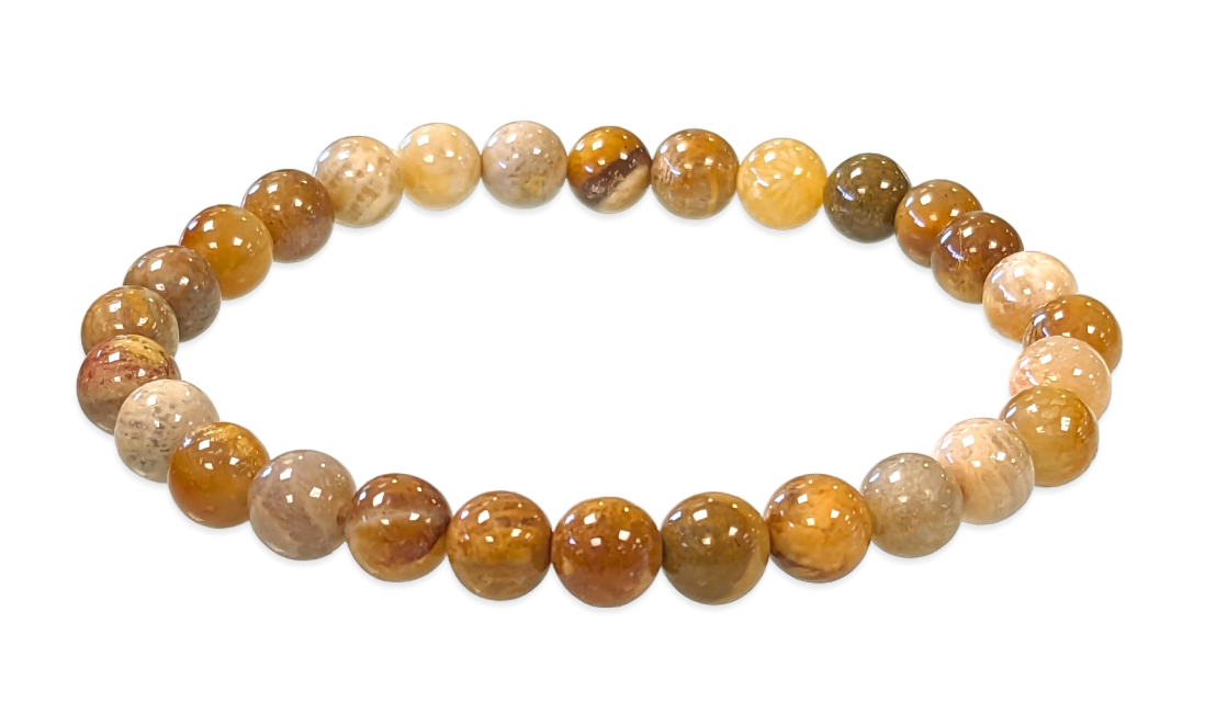Coral Fossil 6mm pearls bracelet