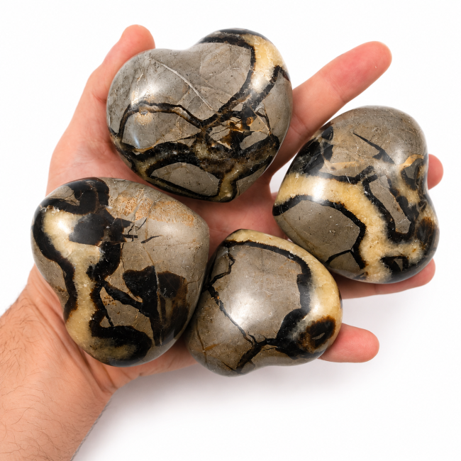 incense at Lot of 2 Septaria Hearts 1080g