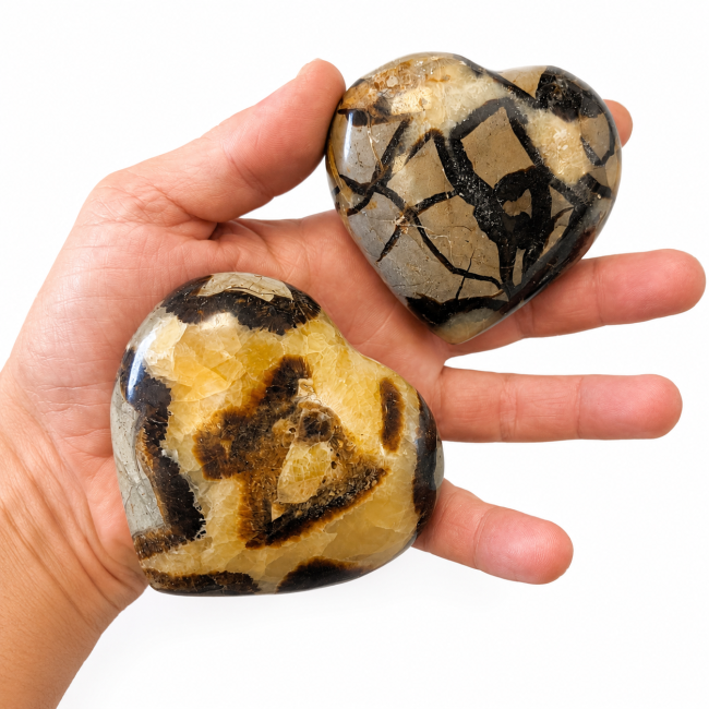 incense at Lot of 2 Septaria Hearts 569g