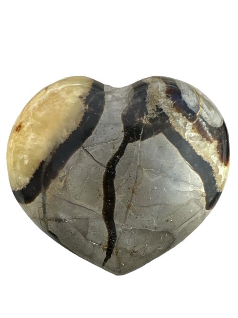 Heart of Septaria 569gr