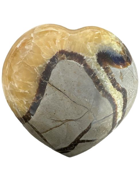 Heart of Septaria 484gr