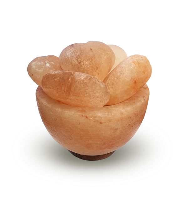 Himalayan Salt Lamp - Bowl with 5 hearts 3.5kg
