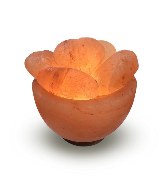 Himalayan Salt Lamp - Bowl with 5 hearts 3.5kg