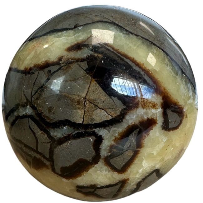 Block of polished Septaria 1.181kg