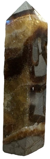 Block of polished Septaria 0.807kg