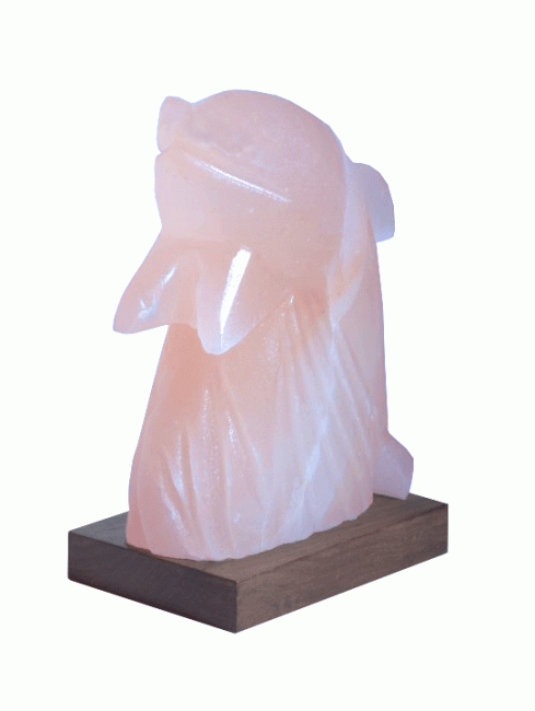 Dolphin Salt Lamp 3 kg