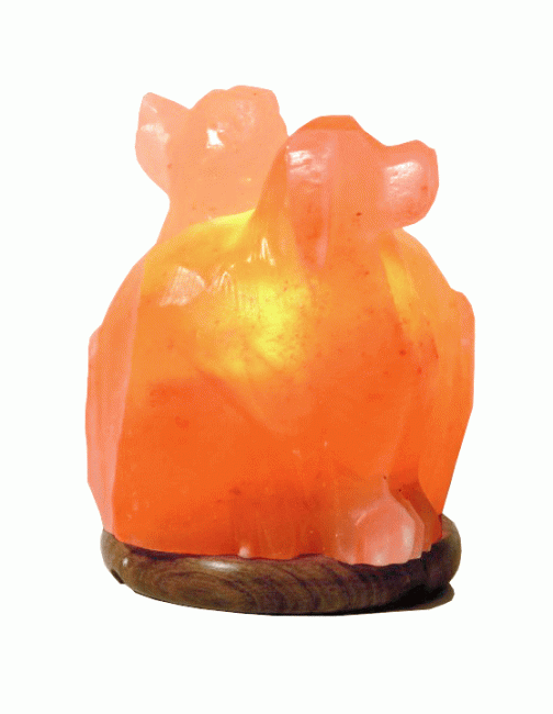 Double Salt Lamp for Puppies 3kg
