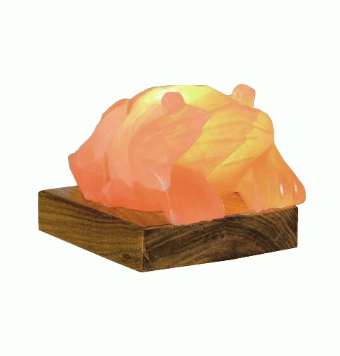 Frog Salt Lamp 4 kg