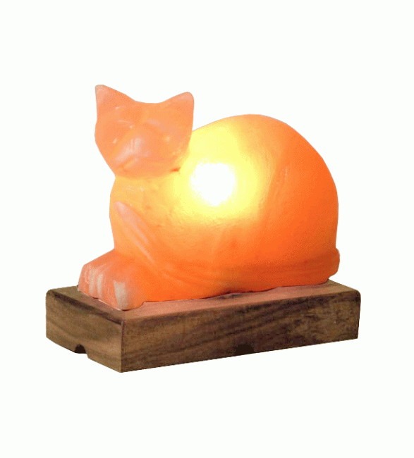 Cat Salt Lamp 3kg