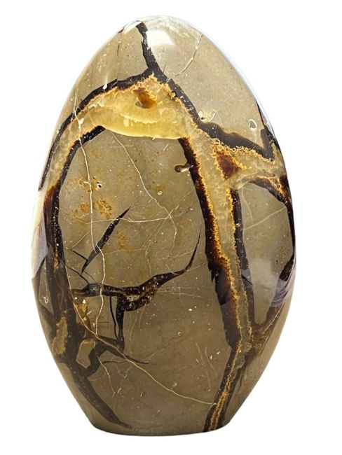 Egg in Septaria 640gr
