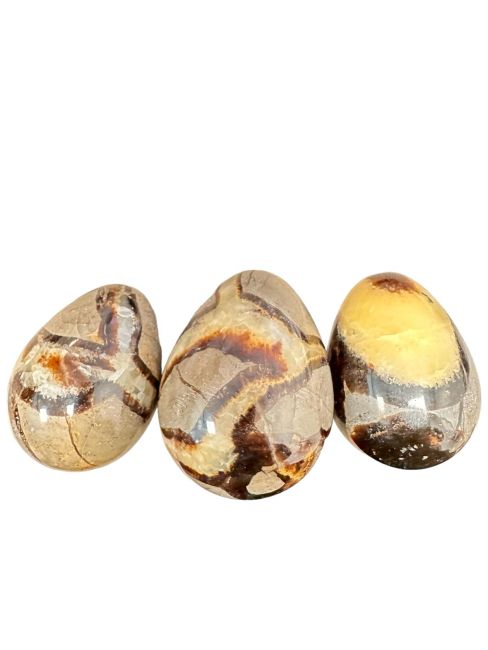 3 Septaria Eggs 668gr