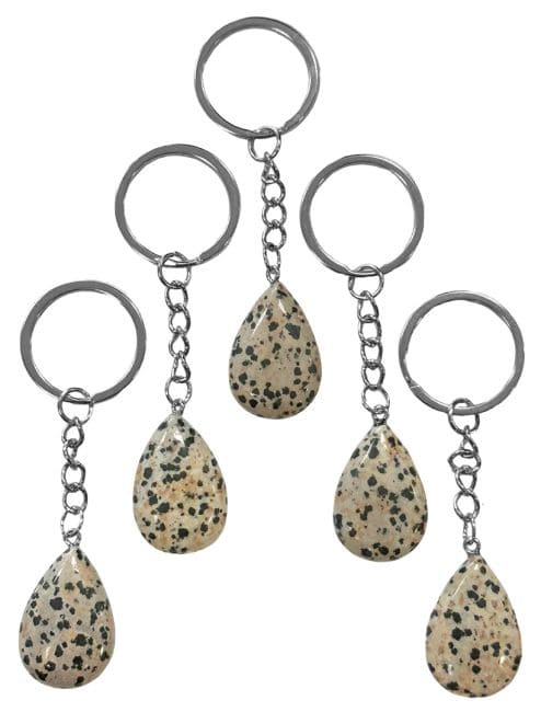 Dalmatian Jasper A Teardrop Key Ring 30mm x 5