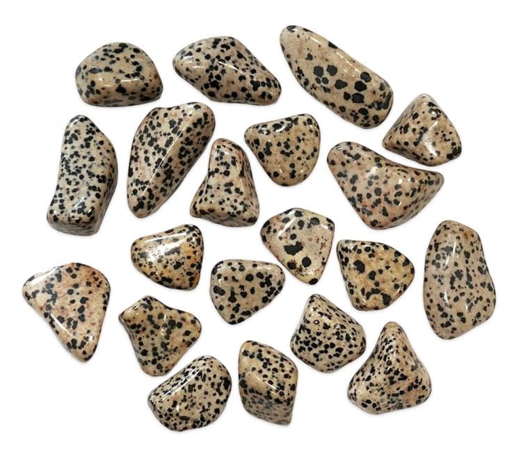 Dalmatian Jasper AB tumbled stones 250g