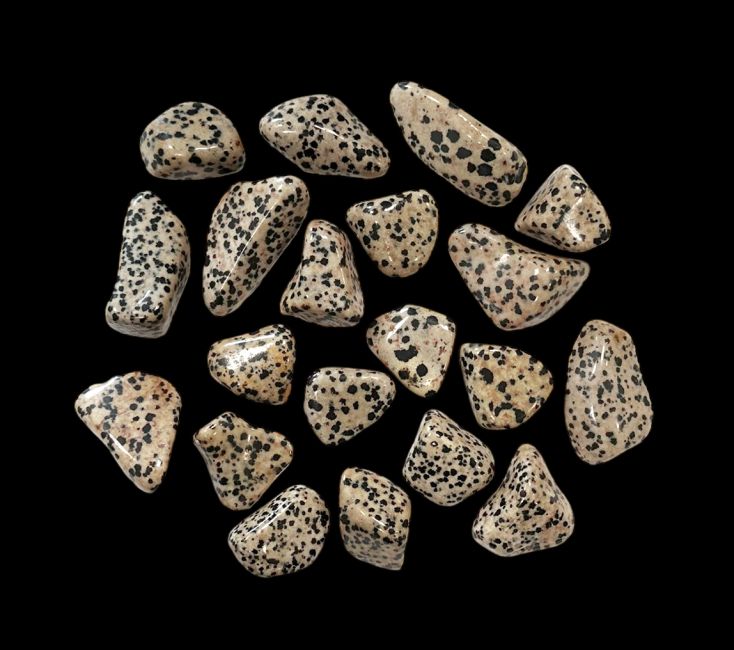 Dalmatian Jasper AB tumbled stones 250g