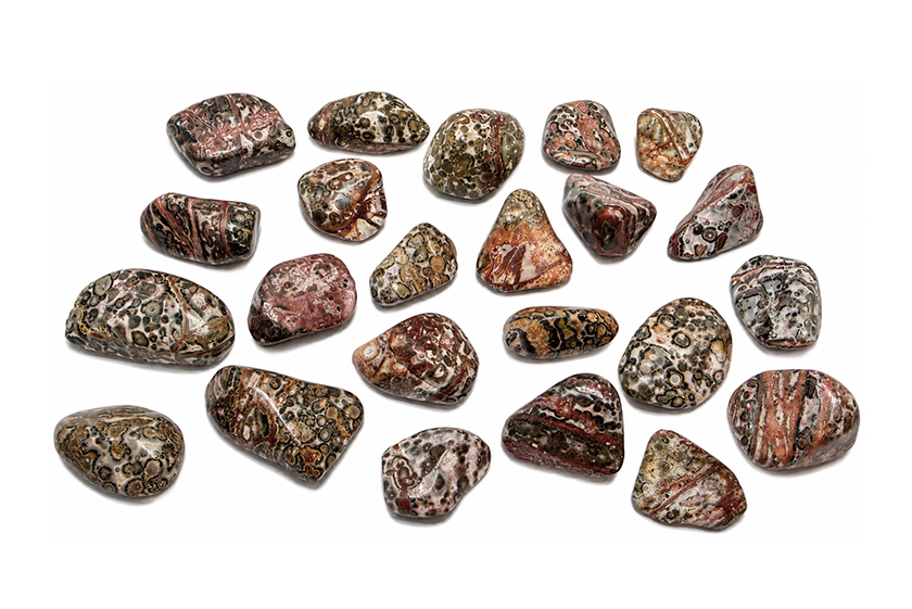 Leopard Jasper AB Tumbled Stones 2-3cm 250g