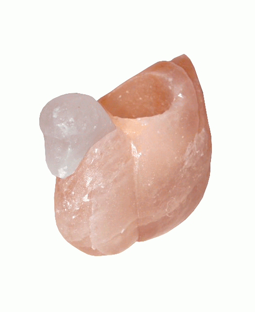 Natural Salt Crystal Swan Candle Holder 1kg