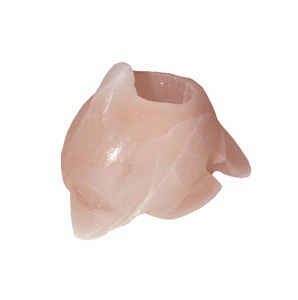 Natural Salt Crystal Dolphin Candle Holder 1kg