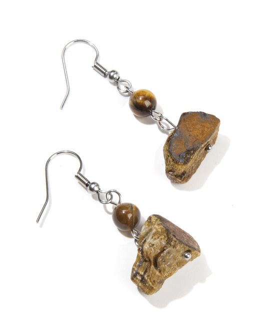 Silver Earrings in Stainless Steel Raw Tiger Eye A 3.5cm