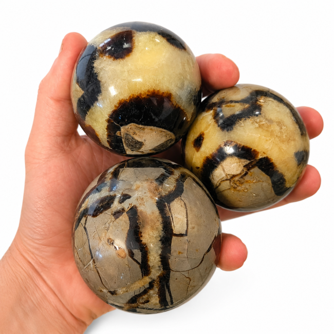 incense at 3 polished Septaria spheres, 1.230kg