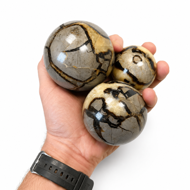 incense at 3 polished Septaria spheres, 1.280kg