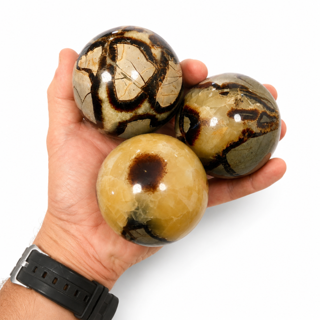 incense at 3 polished Septaria spheres, 1.340kg
