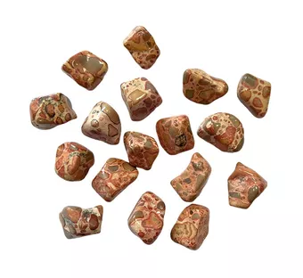 Leopard Jasper Rhyolite A tumbled stone 250g