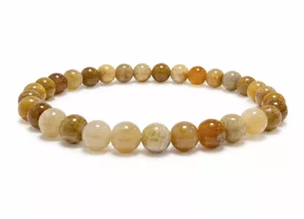 Fossil Coral Bracelet AB 6mm Beads