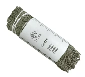 White cedar thuja natural bundle 25-30g 10cm