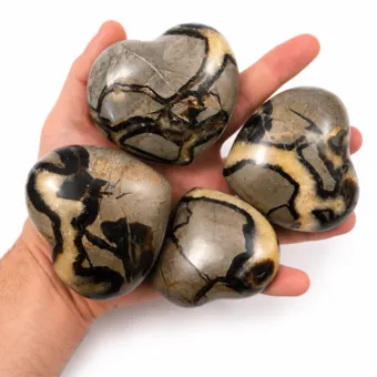 Lot of 4 Septaria Hearts 1080g
