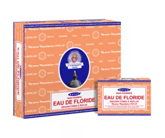 Satya Florida Water Backflow Cones 12pcs