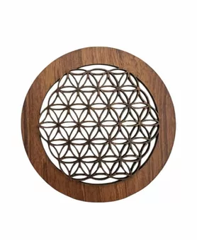 9cm Flower of Life Magnetic Panel for USB999
