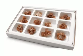 Display of 12 Raw Aragonite Specimens 3-4 cm