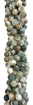 Tree Agate Round Beads Strand A 10mm