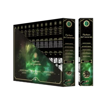 Parfum de Gemmes Jasmine & Aventurine Smudge Stick Incense 20g