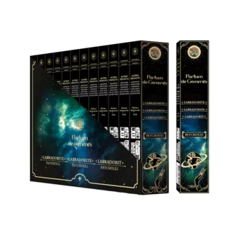 Parfum de Gemmes Patchouli & Labradorite Smudge Stick Incense 20g
