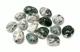 Tree Agate AA Tumbled Stones 2-3cm 250g