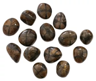 Chiastolite A Tumbled Stones 2-3cm 250g