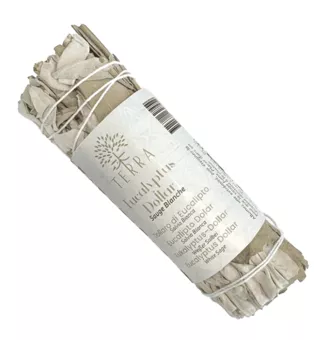White Sage & Eucalyptus Dollar Bundle 25-30g 10cm