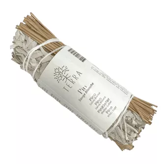 White Sage and Pine bundle 25-30g 10cm