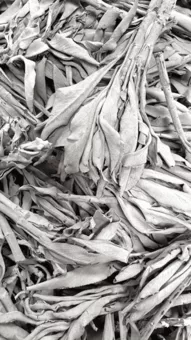 White Sage California Superior Quality 1KG